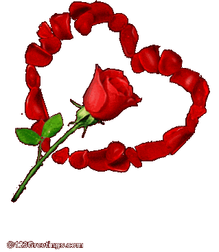 the love is a dream